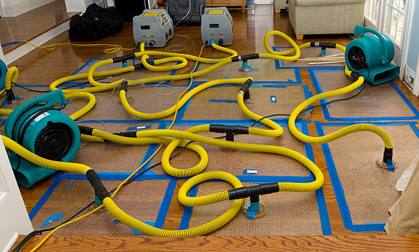 Professional Structural Drying And Dehumidification technician working in Oak Hill, NY